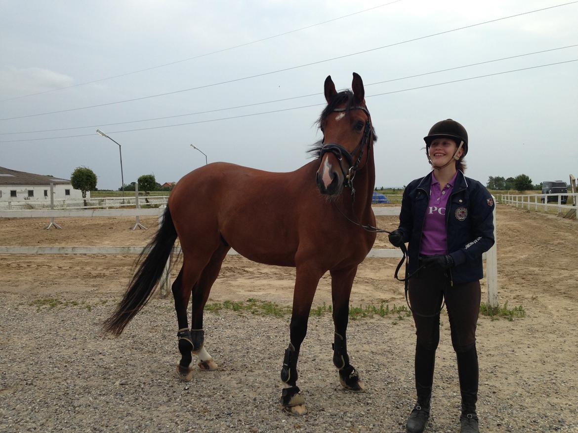 DSP Skovlys Cazador billede 9