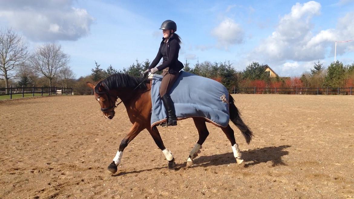 DSP Skovlys Cazador - Træning d. 12. april 2015 billede 6