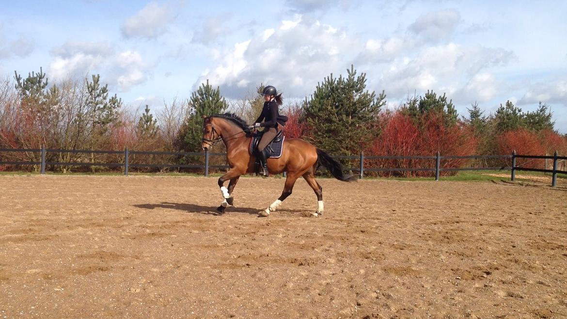 DSP Skovlys Cazador - Træning d. 12. april 2015 billede 4