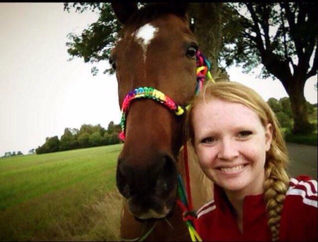 Dansk Varmblod Palle (Tidligere part) billede 7