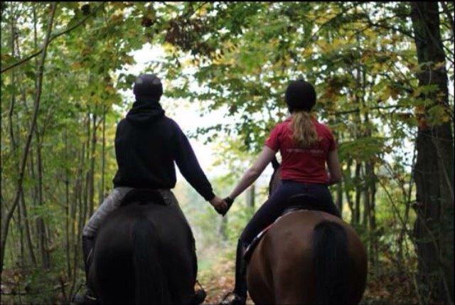 Dansk Varmblod Palle (Tidligere part) billede 9