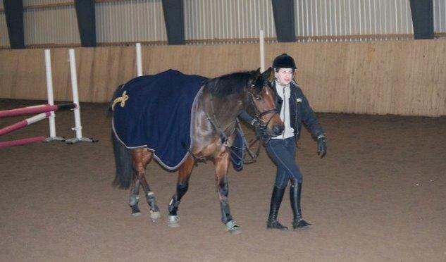 Hollandsk Sportspony Apollo billede 5