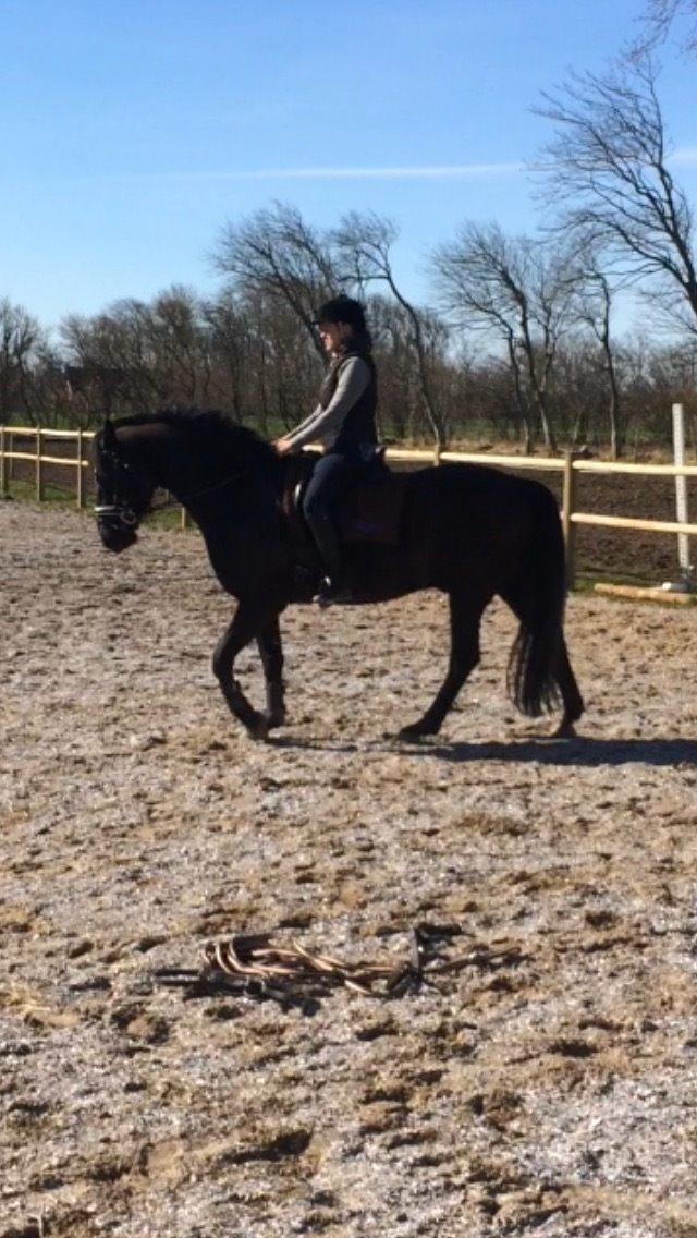 Anden særlig race jens billede 20