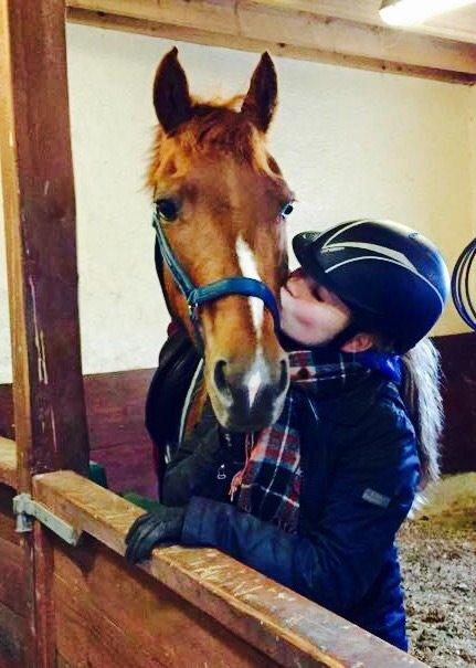 Anden særlig race EHC's Lamirz - mys..  billede 15