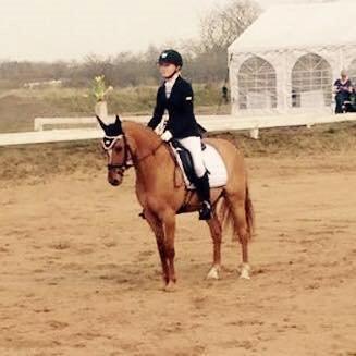 Welsh Partbred (Sec F) Daimler - Er ved at klappe ham, derfor den mærkelige opstilling :D  billede 13