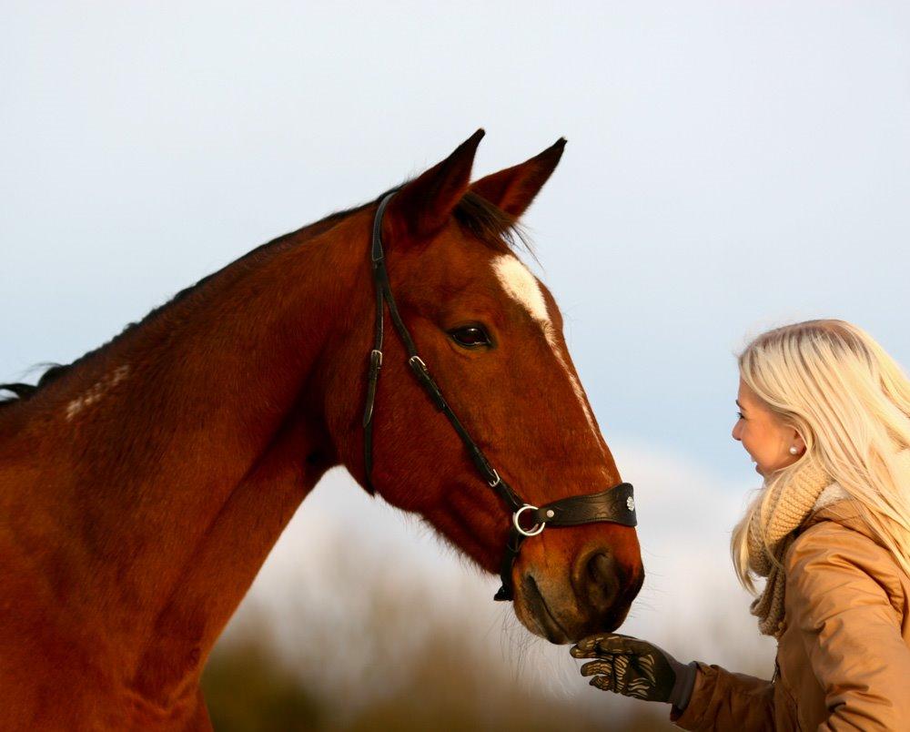 Traver Diego Sølvbjerg - Fotografi af Mille Berger billede 14