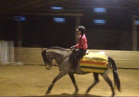 Quarter Dq Fire Deano Jack billede 13