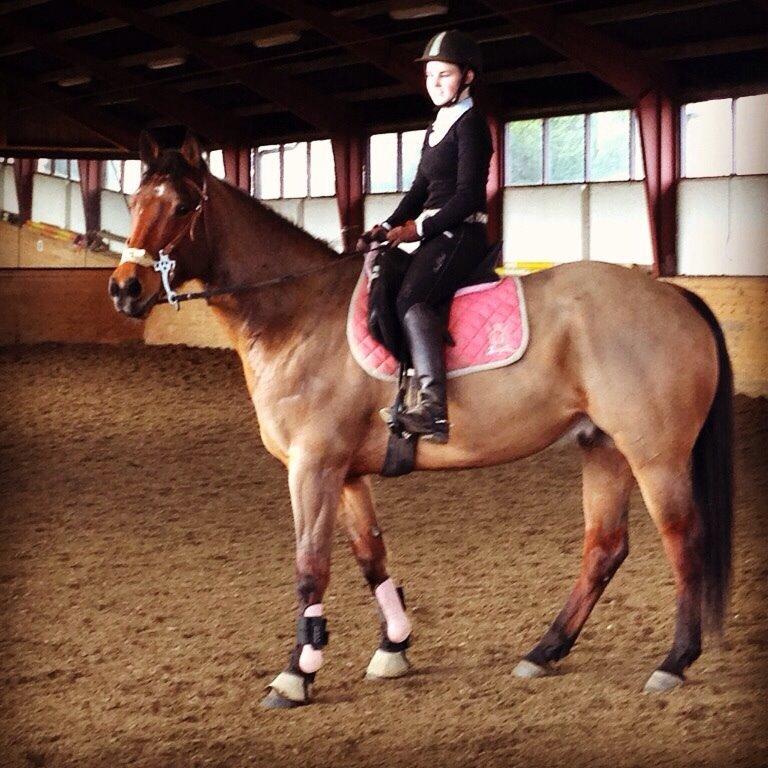 Quarter Spirit Of Jewel billede 8