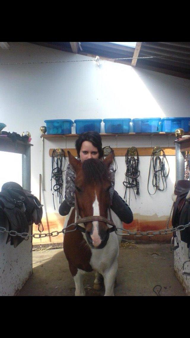 Anden særlig race Filur  billede 2