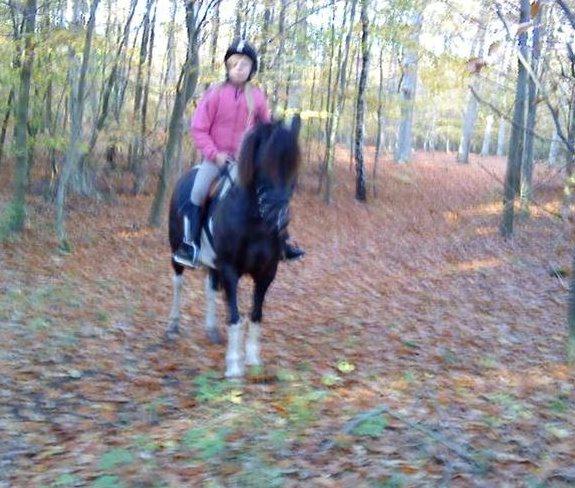 Anden særlig race Lucky Boy billede 5