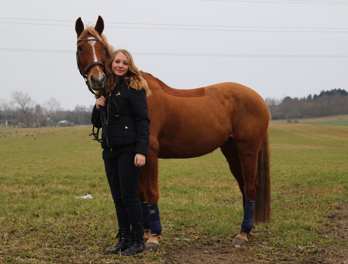 Appaloosa Sequoia van de lorkeershoeve <3 - har ejet denne smukke prinsesse i 3 år <3 12/2-15 Foto af Sofie Andersen billede 20