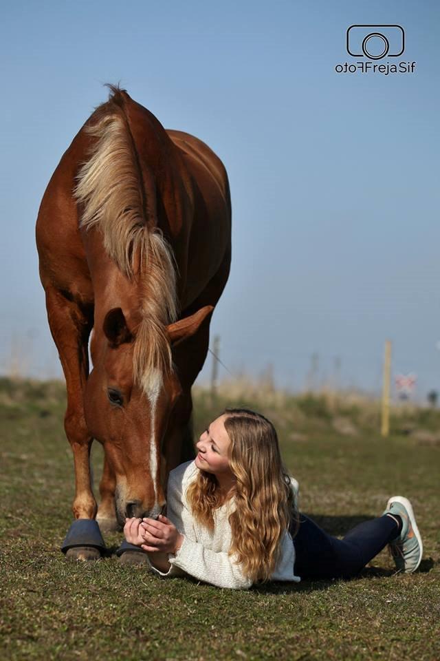 Appaloosa Sequoia van de lorkeershoeve <3 - "En hest uden rytter, er stadig en hest. En rytter uden en hest er bare et menneske"Foto af FrejaSifFoto billede 35