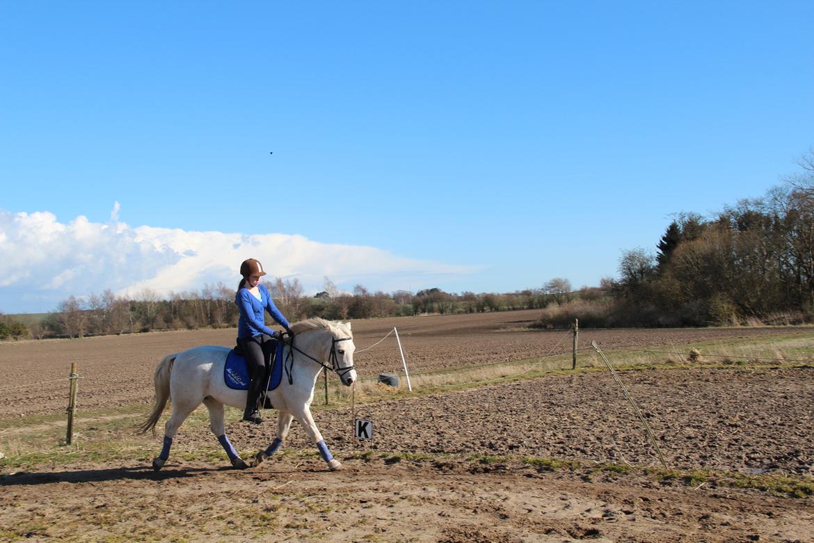 Anden særlig race Boss billede 1