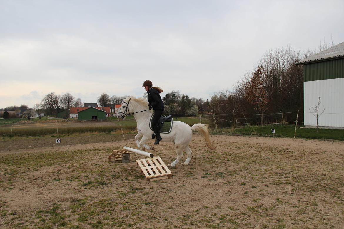 Anden særlig race Boss billede 2