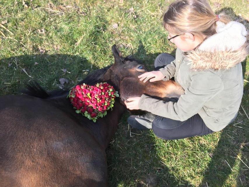 DSP Coco, du vil altid være i mit hjerte <3 billede 2