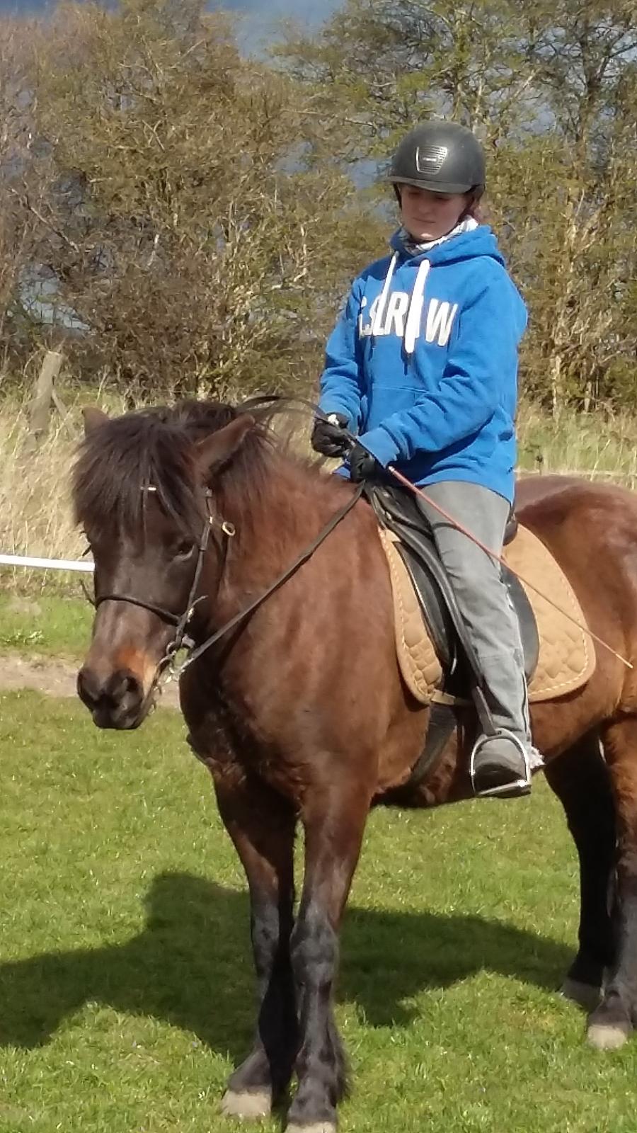 Islænder Hind - træt dame :D  billede 11