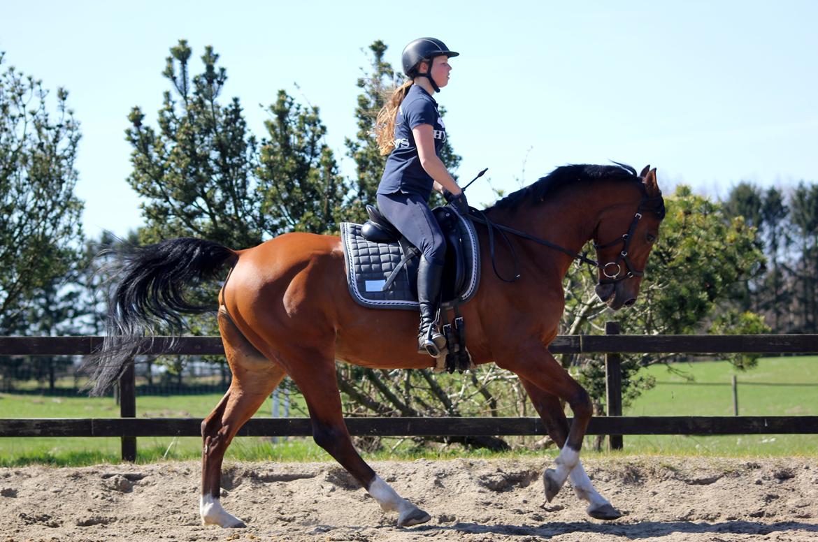 Anden særlig race Freeman - 2 års dag med bassen :) billede 24