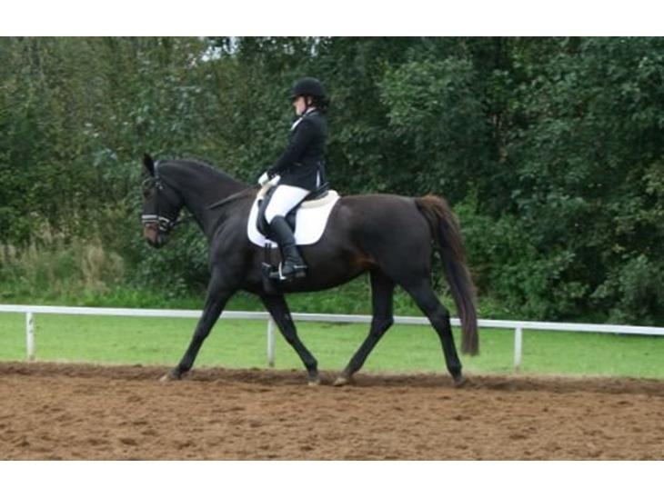 {{currentPhoto.altText}} billede {{currentPhoto.number}}