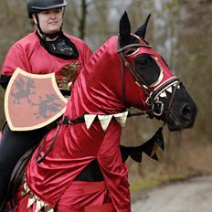 Lusitano Macho De José