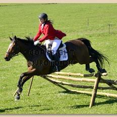 Fuldblod (XX) Pistoleiro