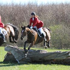 Fuldblod (XX) Pistoleiro