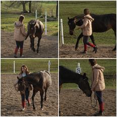 Traver Ghost Win (US)