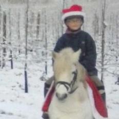 Welsh Mountain (sec A) Iben