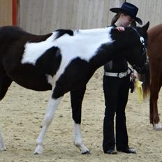 Paint ROCKYS FLYING COMET