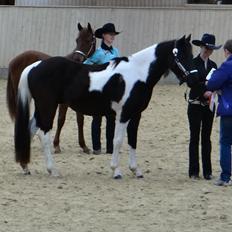 Paint ROCKYS FLYING COMET