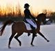 Anden særlig race Red Magic <3