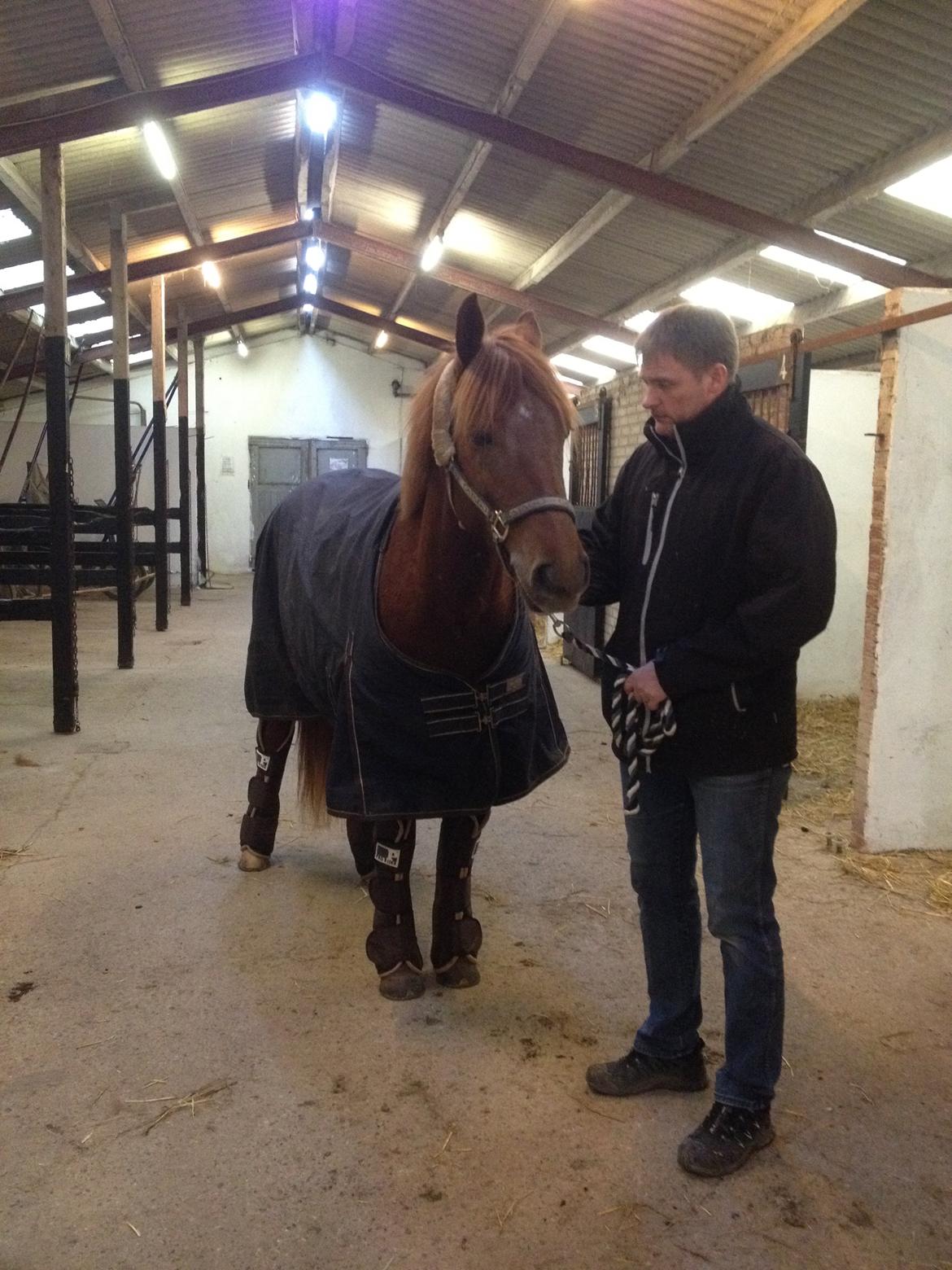 Anden særlig race Eligance billede 18