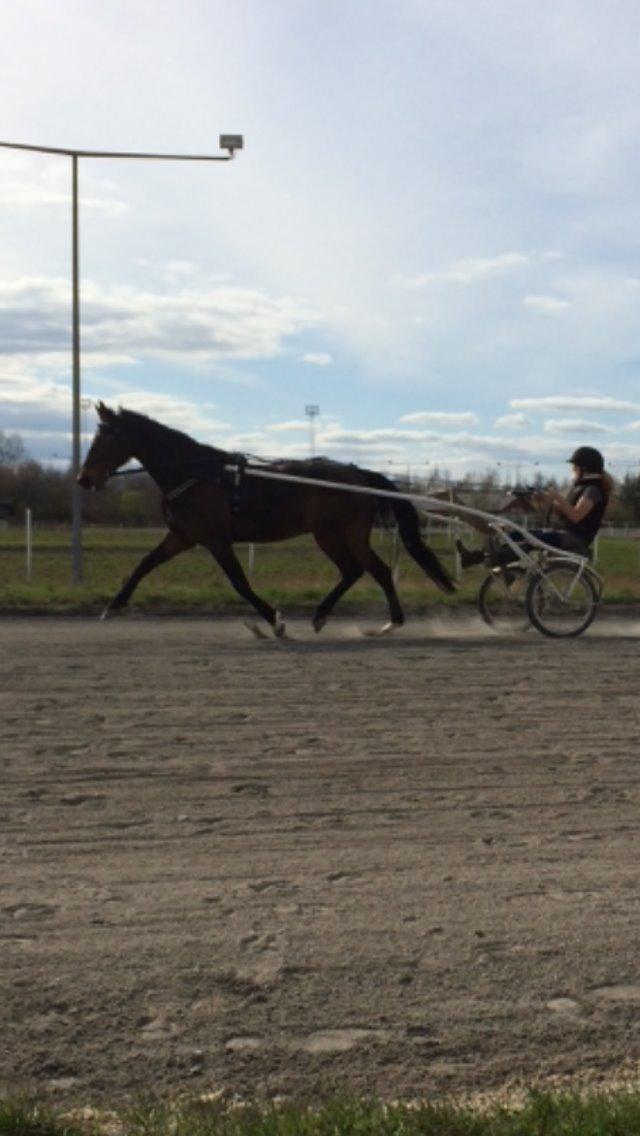 Traver Leroy Hall billede 26