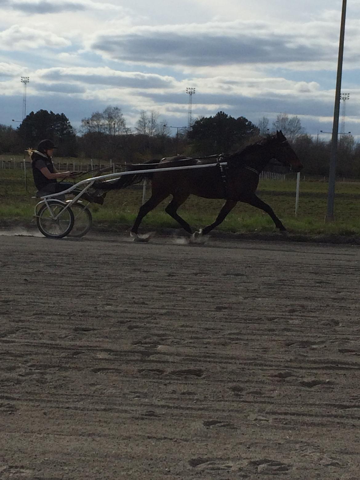 Traver Leroy Hall billede 25