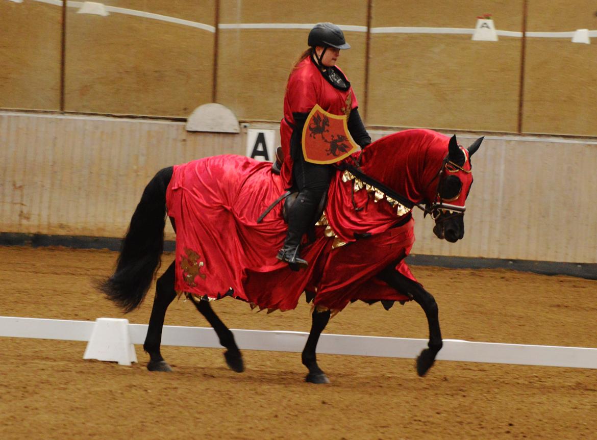 Lusitano Macho De José - LD1 - fastelavnsstævne på HER. Foto: Sarah Terp billede 3