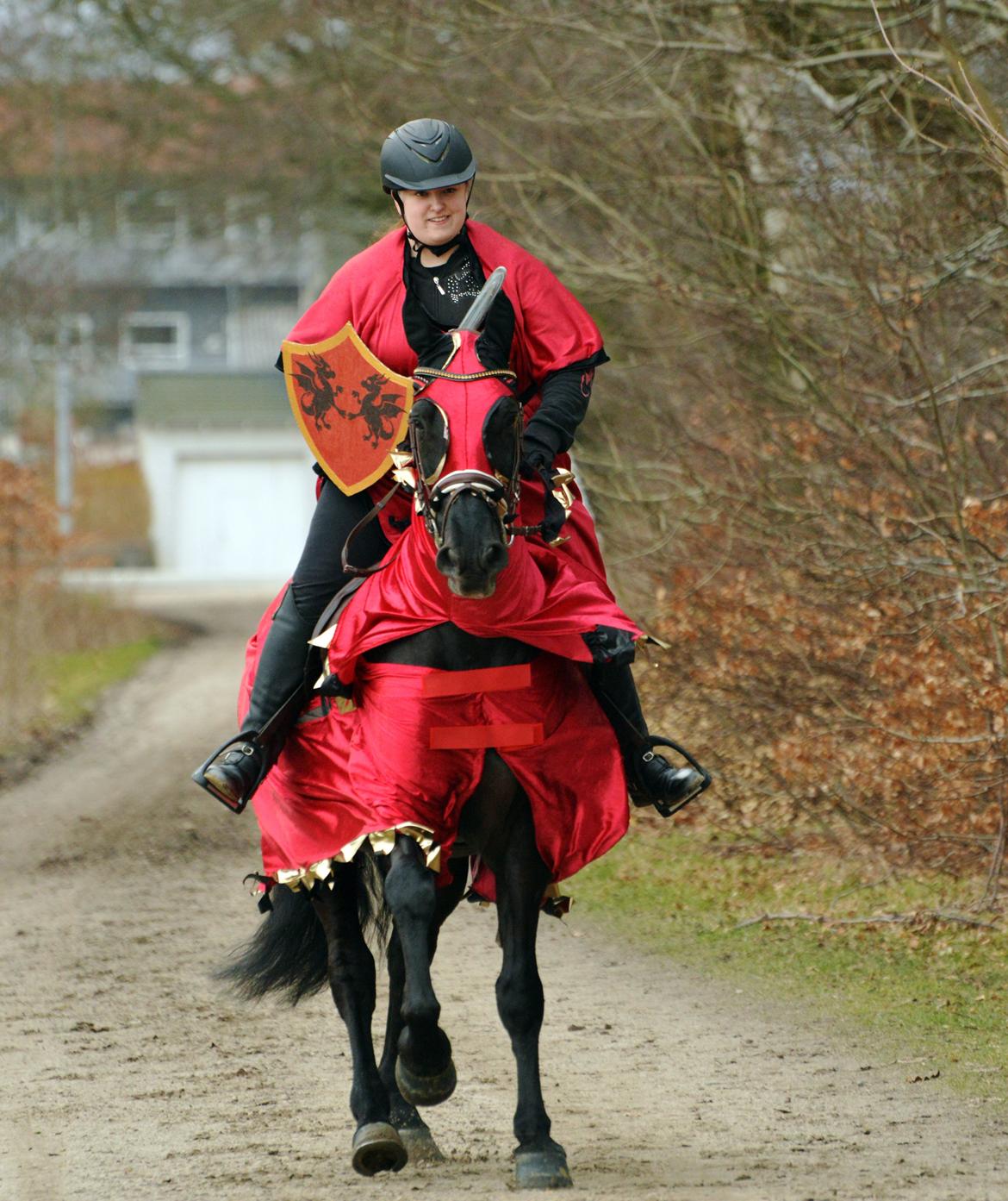 Lusitano Macho De José - Woop woop - ridderhypning! Foto: Sarah Terp billede 1