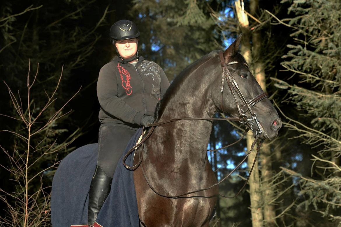 Lusitano Macho De José - Hæst er flot! Foto: Sanne Kolind billede 14