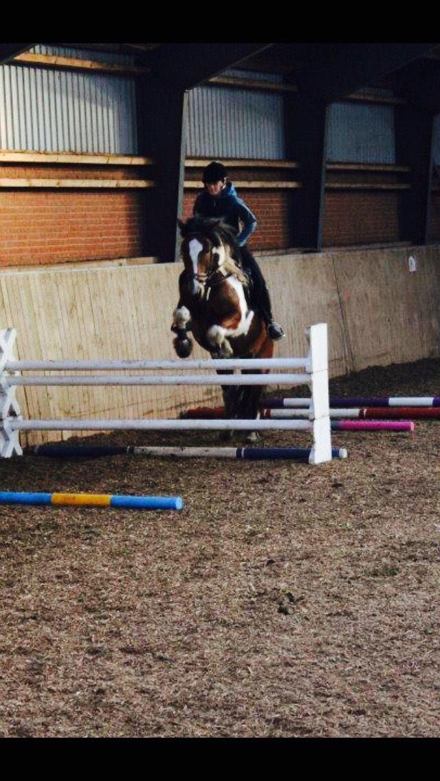 Tinker Kenzo  billede 4