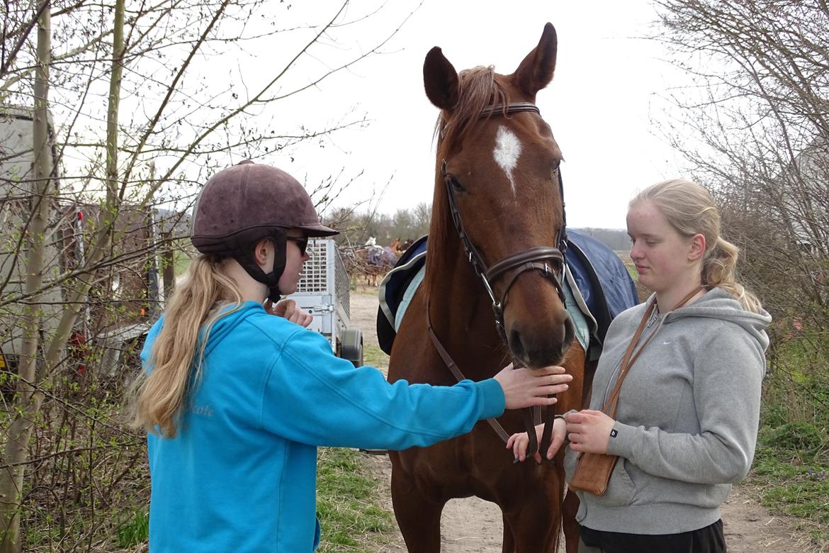 Dansk Varmblod Vortinggårds Aida *Hypse* 2001-2017 - Ma' girls <3 billede 9
