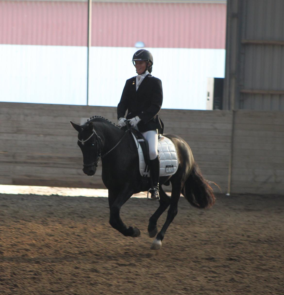 New Forest Skovlundegårds Quality SOLGT billede 20