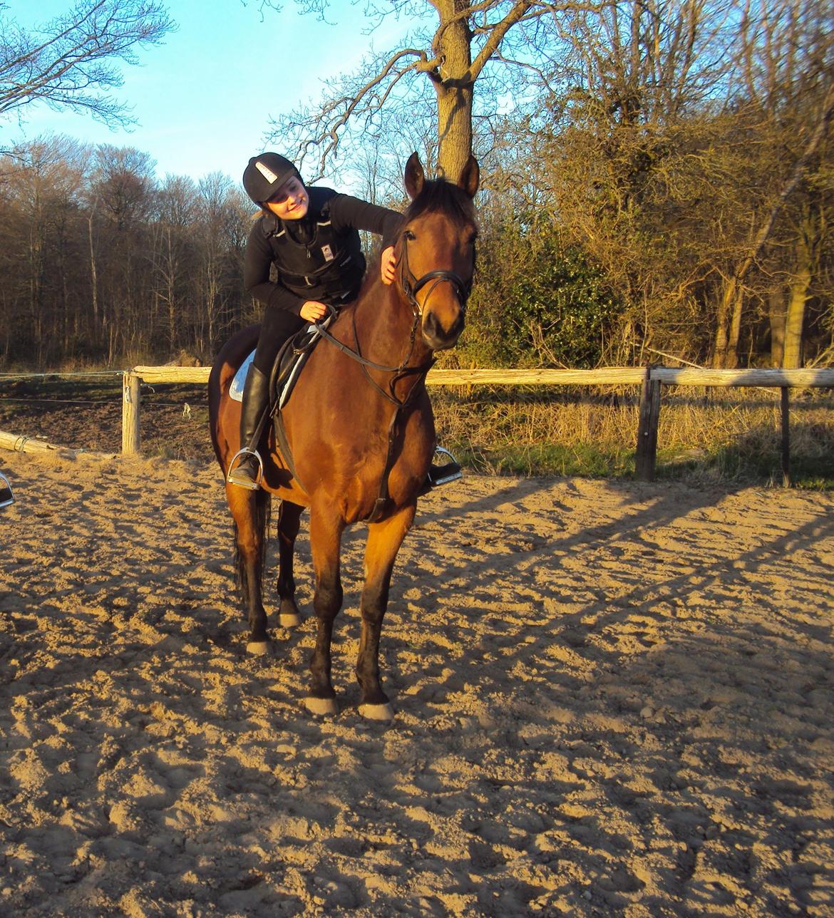 Anden særlig race Mason billede 9