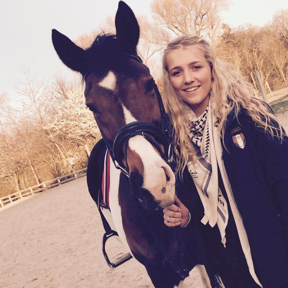 Pinto Lucky Boy billede 2