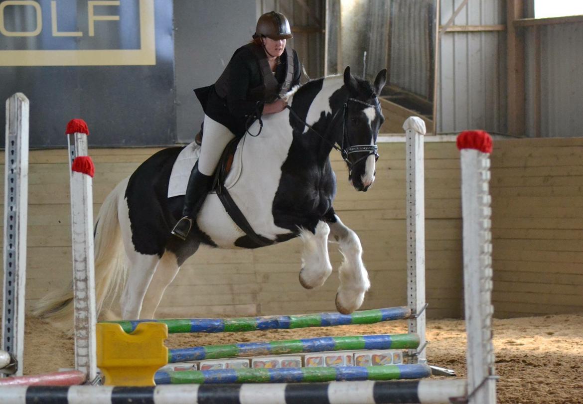 Barockpinto Arkia - vores første sping stævne billede 1