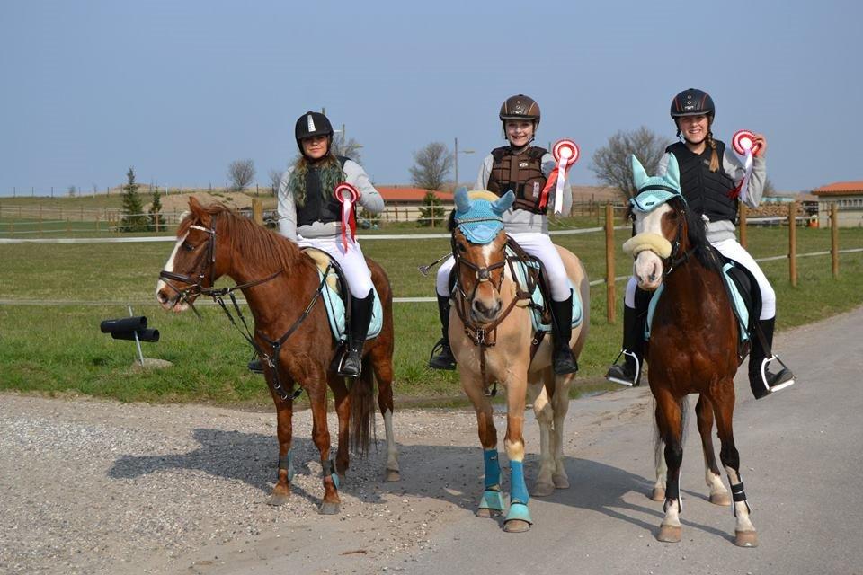 Hollandsk Sportspony Capello Ivo<3 (Min Pony) - The Team! <3 Vinder af 2. kval stafetspring <3  billede 32