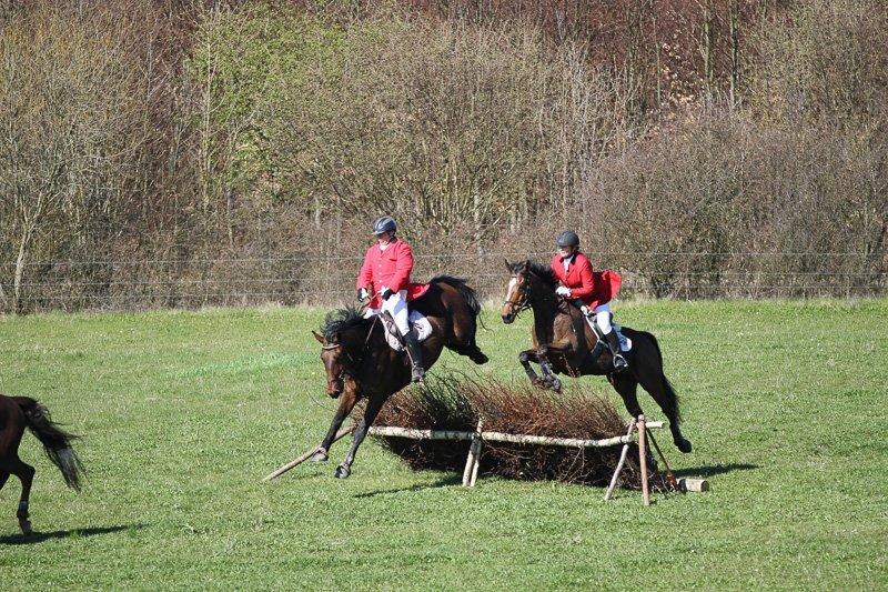 Fuldblod (XX) Pistoleiro billede 23