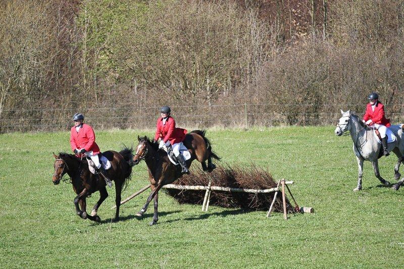 Fuldblod (XX) Pistoleiro billede 24