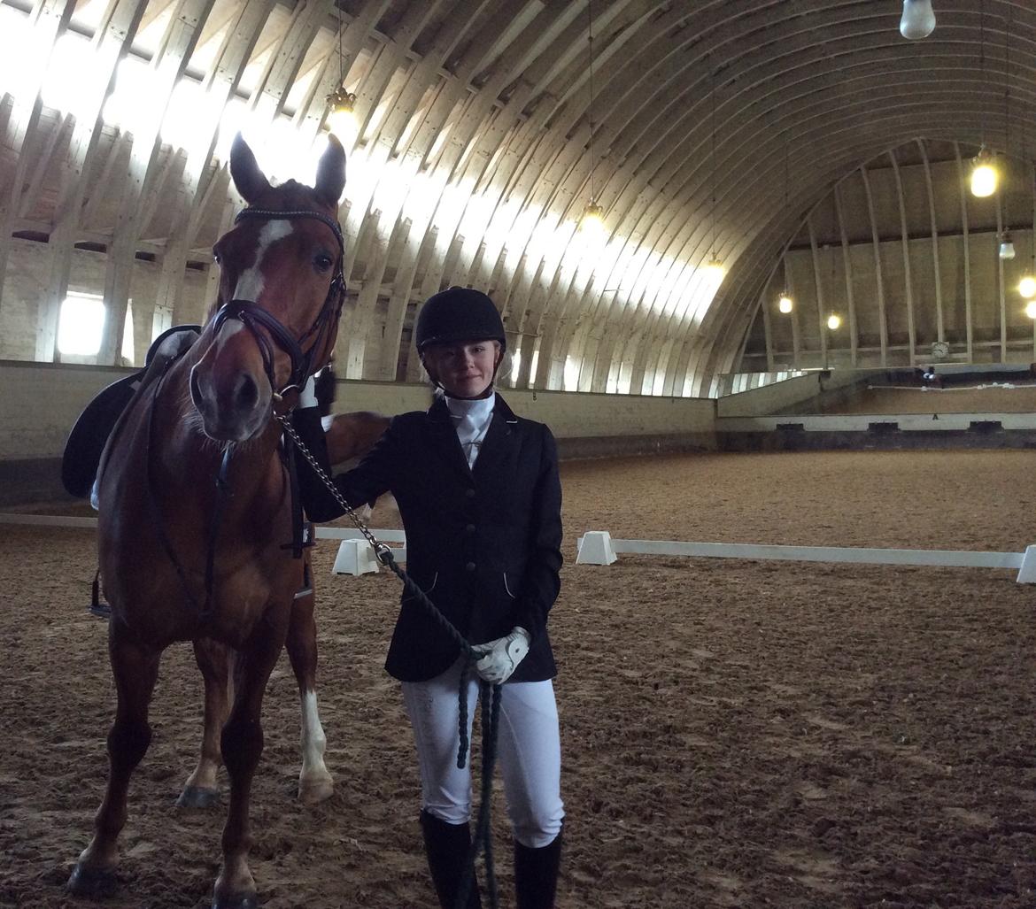 Knabstrupper Max bounty - Baby og mig til vores første stævne <3 lige efter programmet. billede 18