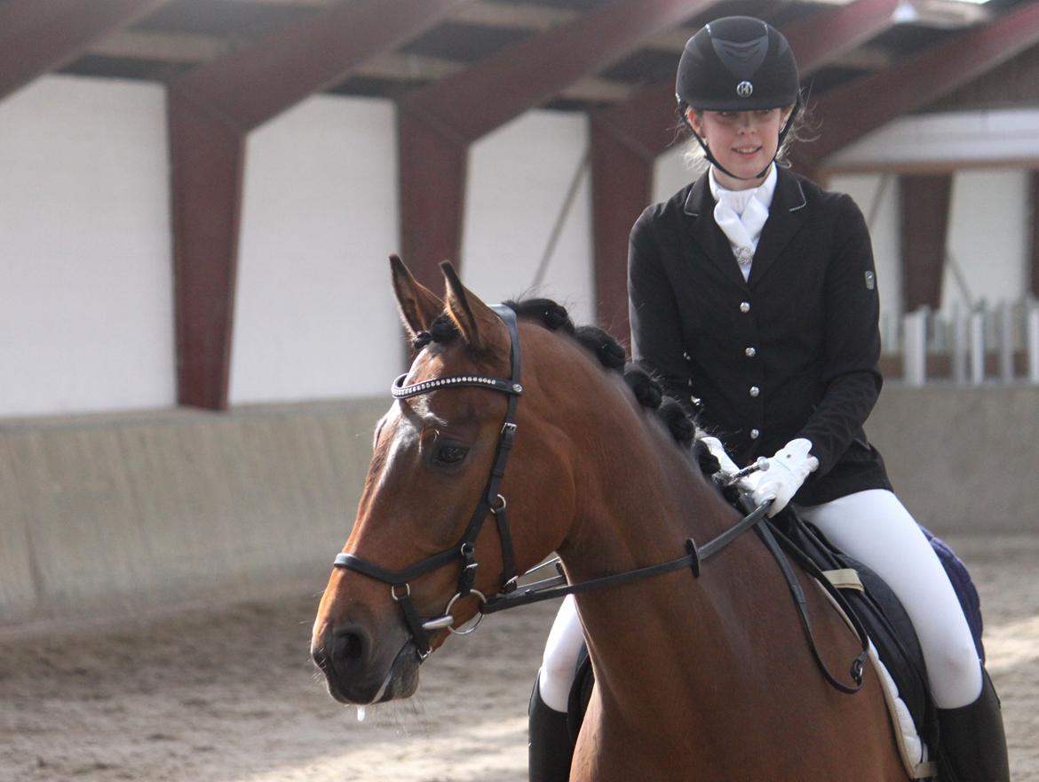 Dansk Varmblod Storbjergs Cassiopeia RDS - Cassiopeia til præmieoverrækkelse. Vinder af LB2 med 69,3%. D. 19-Apr-2015. billede 4