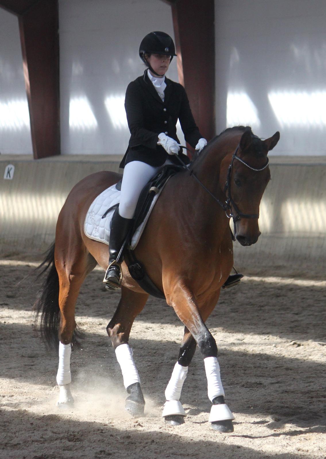 Dansk Varmblod Storbjergs Cassiopeia RDS - Vores anden LA1. 3. plads med 67,41%. D. 19-Apr-2015. billede 19