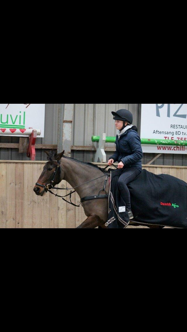 DSP Kvazandra Lapaz billede 41