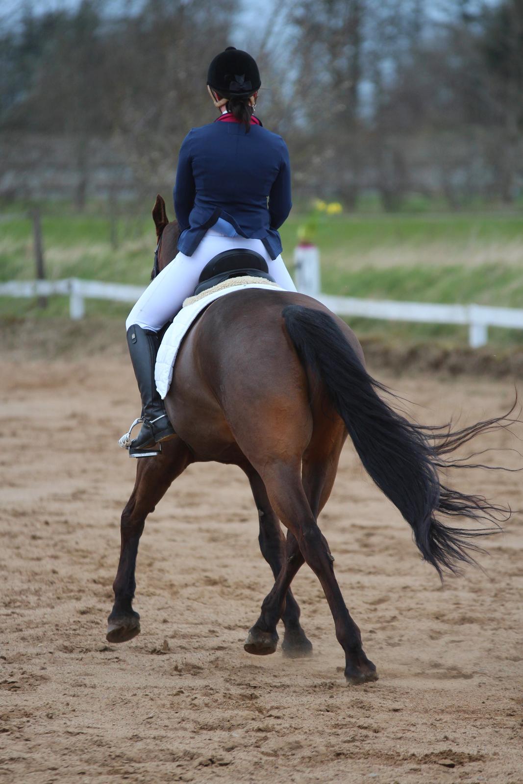 Oldenborg Maks af hejring billede 7